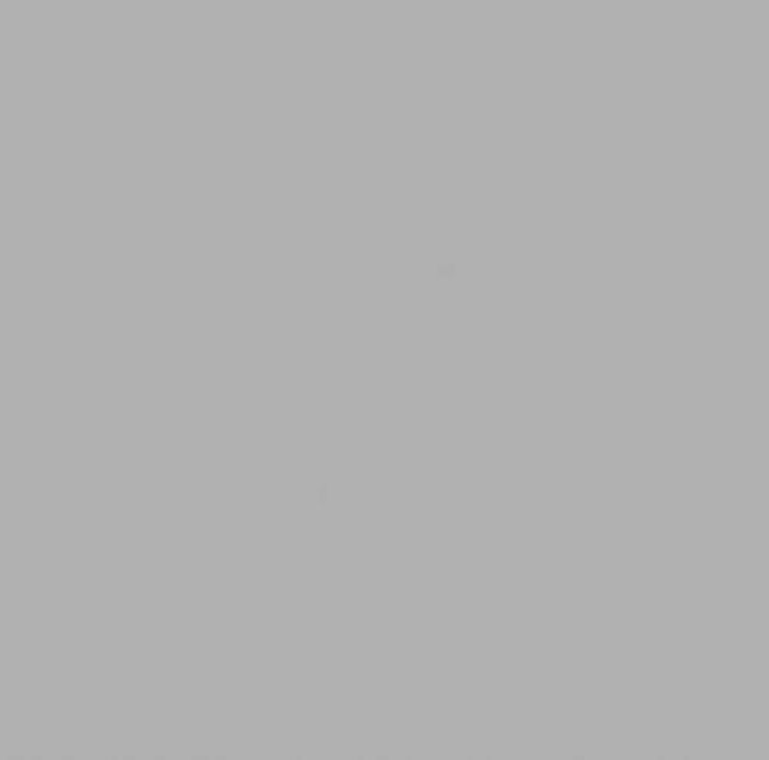 16880-1010 Colors mouse grey glanzend