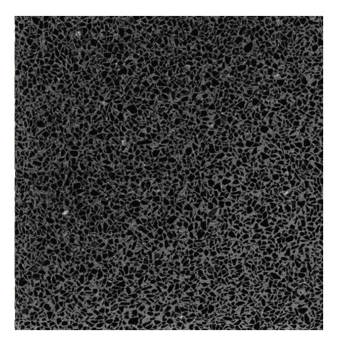 1001-4040 Terrazzo Nero Sublime